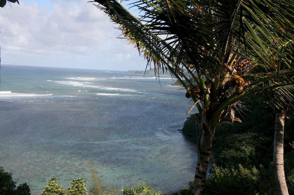 מלון פרינסוויל Orchid Point By Hawaii Life מראה חיצוני תמונה